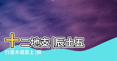 屬土需要什麼|【土屬性】五行屬土者，你不可不知的性格、運勢全解析